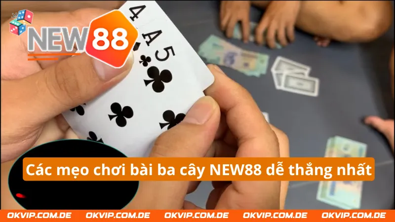 Mẹo chơi bài ba cây từ các cao thủ hay nhất