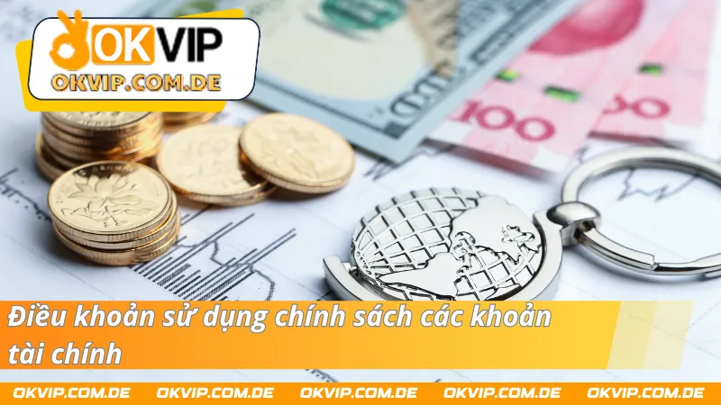 Các điều khoản chính sách về tài chính