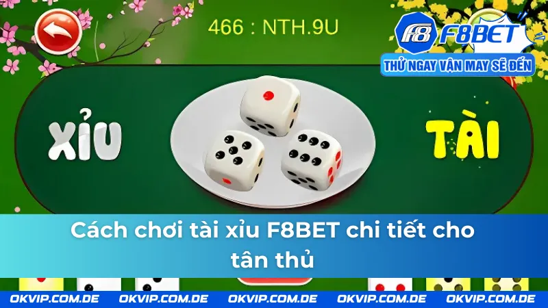 Cách chơi tài xỉu F8BET cho tân thủ