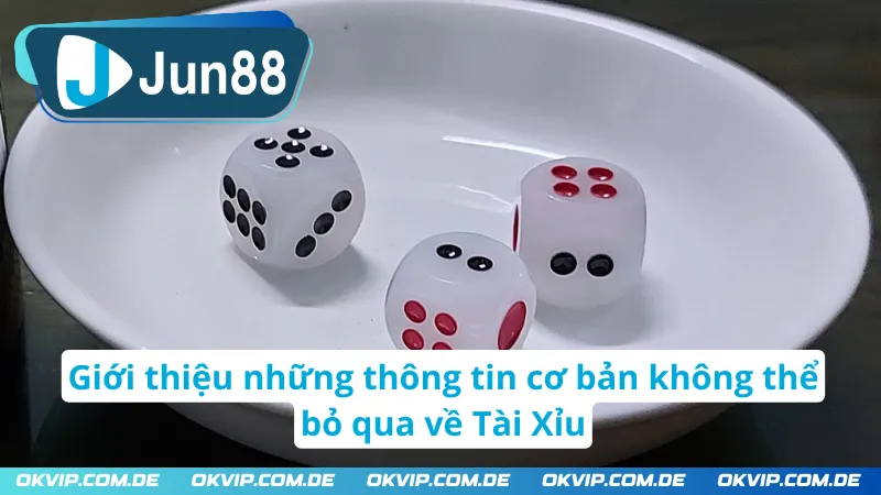 Giới thiệu những thông tin cơ bản không thể bỏ qua về Tài Xỉu  